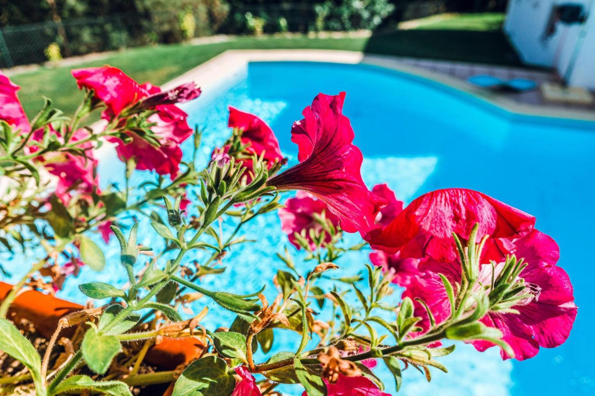 Estalagem Bela Vista Bed & Breakfast Mondim de Basto Exterior photo